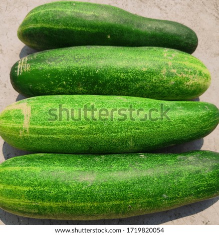 This is the picture of Cucumber.