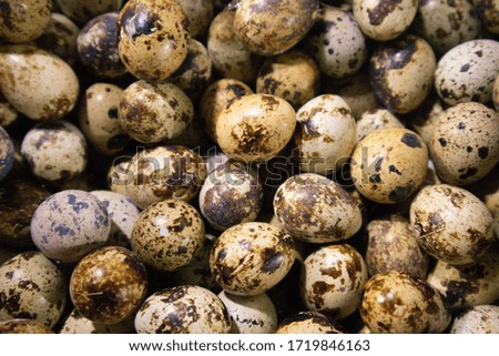 In the picture there are many quail eggs.