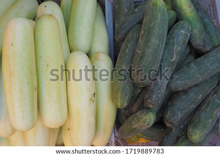 white cucumber and green cucumber
