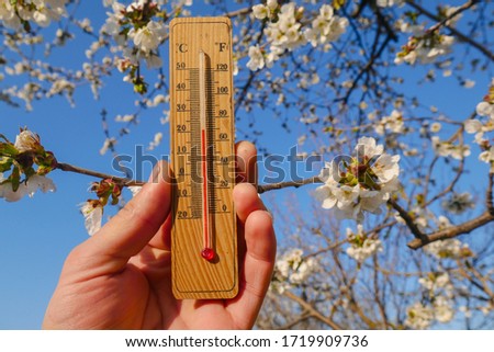 wooden thermometer in hand on a background of a blossoming tree
