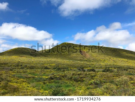 Green field and mountains in Hawaii Big Island