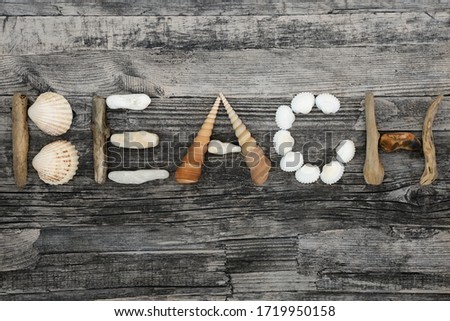 Abstract of seashells, driftwood and pebbles forming the word beach on rustic wood background. Holiday concept background.