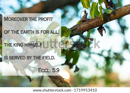 Bible quotes on blurred nature background. Card sign for believers. Inspirational praying thought. Christian faith.Moreover the profit of the earth is for all, the king himself is served by the field.