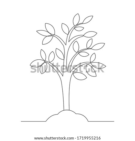 Continuous line drawing of small tree growth. Vector illustration