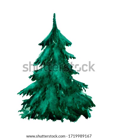 Watercolor Christmas tree, isolated on white