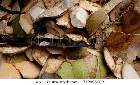Knife on a pile of young coconut skin