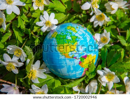 Globe in bright spring forest flowers. The picture, symbolizing the protection of the environment.