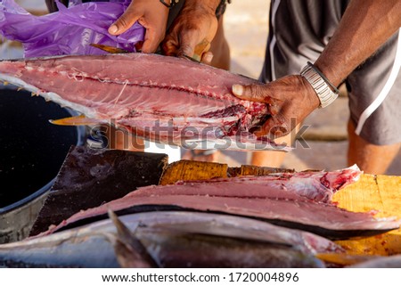 Freshly caught fish at the pier of Santa Maria on the Cape Verdian island Sal