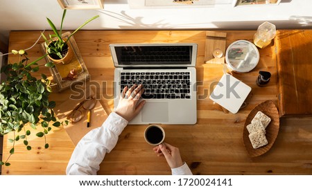 Wooden desktop top view, woman designer hands using laptop and holding a cup of coffee. Freelancer working place - houseplants, cookies, picture on the wall, sketchbook, vintage book. Work from home.