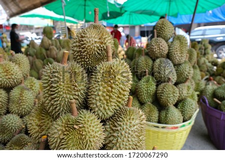 Durian fruit is placed in a basket for sale to the buyer in fruit market,Thailand. Group of fresh durian in the market. Durian that is known as the king of fruits of Thailand. Royalty-Free Stock Photo #1720067290