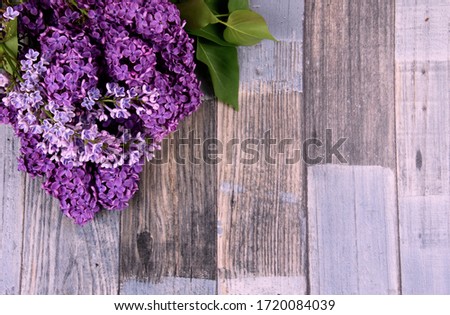 Lilac flower frame top view stock images. Beautiful blooming lilac flower border stock images. Bouquet of lilacs on the table images. Spring purple flowers on a wooden background
