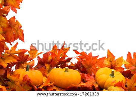 Fall leaves with pumpkin on white background, fall harvest Royalty-Free Stock Photo #17201338