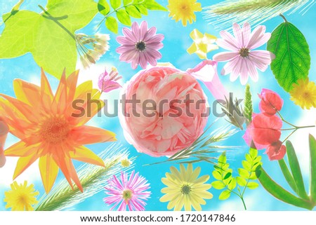 Abstract and artistic spring image of colorful flowers in a transparent glass