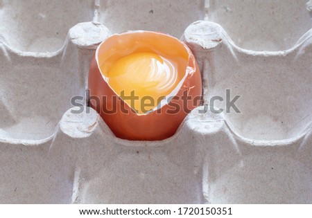 raw broken egg in an egg stand