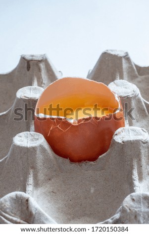 raw broken egg in an egg stand