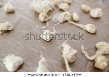 Silkworm cocoon in white silk threads.