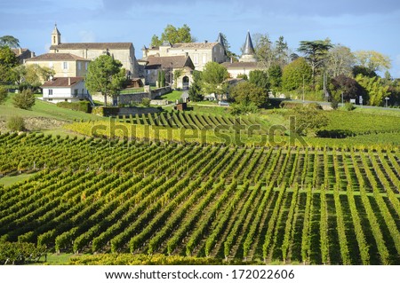 Vineyards of Saint Emilion, Bordeaux Vineyards Royalty-Free Stock Photo #172022606