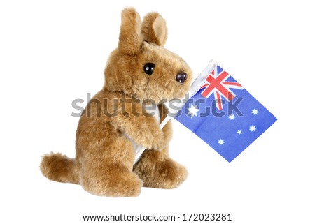 Kangaroo Soft Toy on White Background