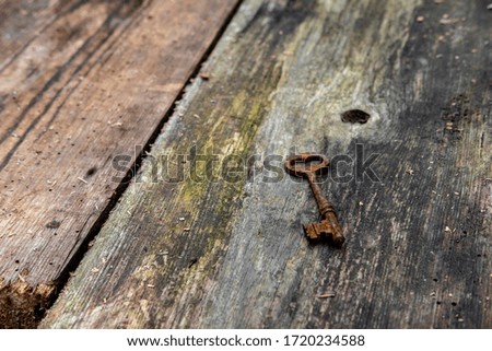 key on a rustic wooden background