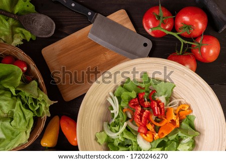 Fresh vegetables on tabletop. Top view on fresh tomatoes, peppers and herbs. Salat ingredients on wooden background. 
