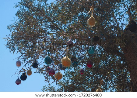 colorful decorated beautiful olive tree Royalty-Free Stock Photo #1720276480