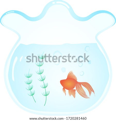 vector illustration of fish bowl and gold fish