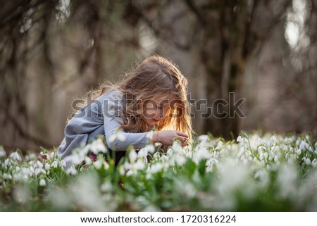 Little pretty girl in a clearing of snowdrops. A child walks in the spring forest. Royalty-Free Stock Photo #1720316224