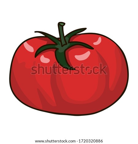 Hand drawn red tomato. Vector cartoon tomato.