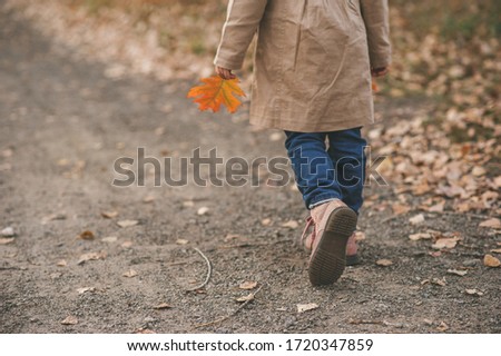Close up photo of kid legs walking and holding an oak autumn leaf in left hand in the park at autumn time. Rear view of child girl in trench coat walking in the forest. Autumn background