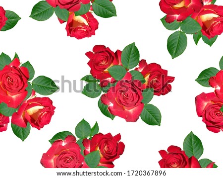 Seamless pattern with bright roses and foliage on a white background.