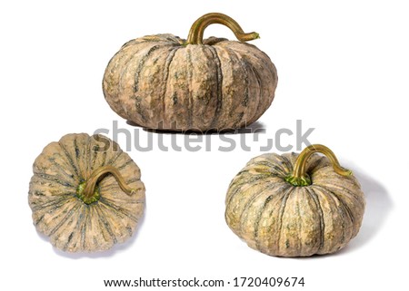 Pictures of green pumpkins with a view From many directions on a white background
