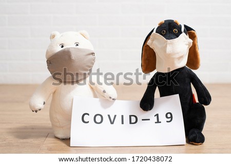 Toys, dog and teddy bear in reusable cloth  face masks hold a COVID-19 poster.
