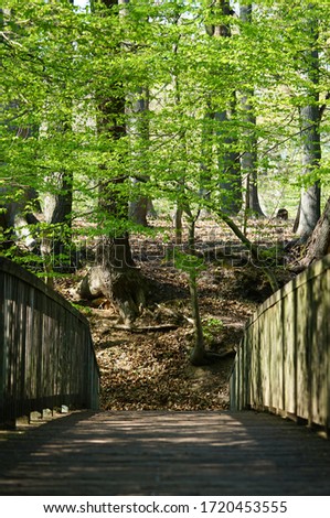 Upright picture of a bridge in a nature reserve. 
