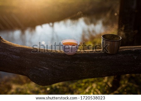 tea in a mug in nature