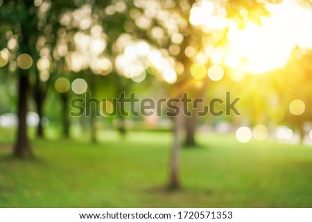 Blur nature bokeh green park by beach and tropical coconut trees in sunset time.