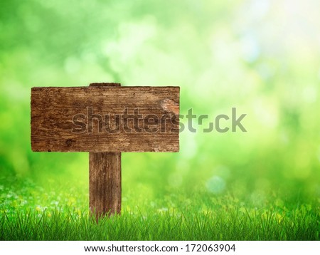 Signboard in green grass with sunny nature 