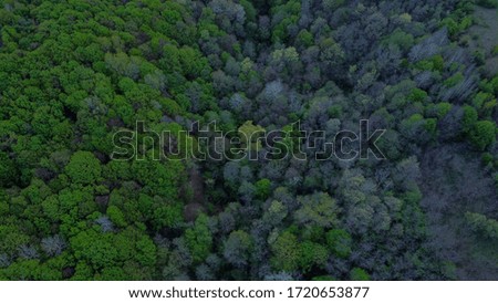 Aerial shot above forest in spring season