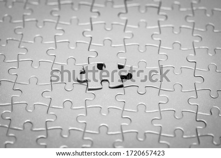 Pictures of one paper puzzle that has not been pasted.