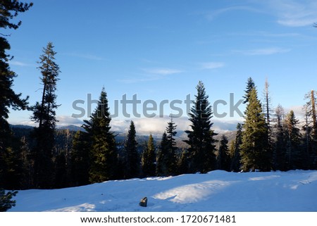 Kings Canyon National Park in winter.