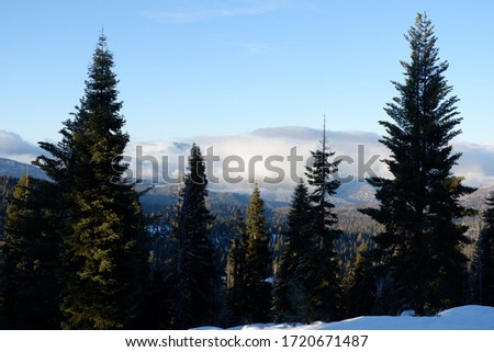 Kings Canyon National Park in winter.