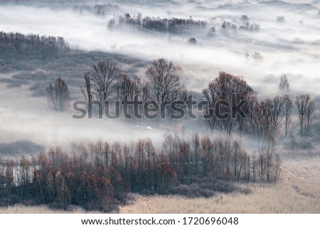 Winter landscape with fog at dawn 