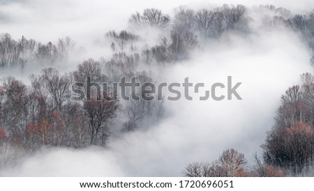 Winter landscape with fog at dawn 