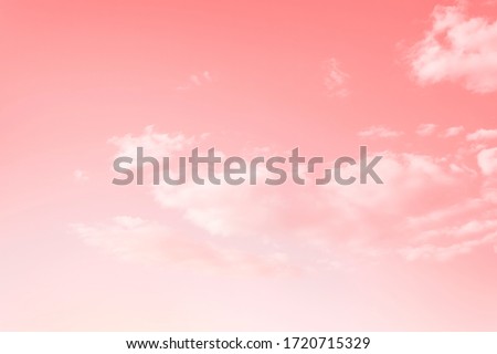 
Pink sky with white clouds. Toned. Blur focus.