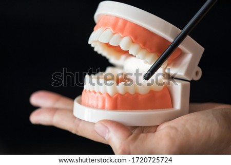 Dentist hold jaw teeth anatomy model and point pen to lower molar tooth isolated on black background with copy space for text. dental care and orthodontic education concept. Royalty-Free Stock Photo #1720725724