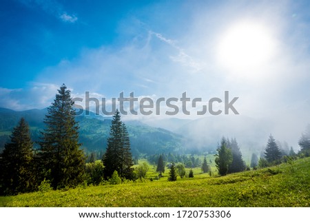Stunning gorgeous view of trees growing on green hills and mountains on a background of white clouds and blue sky on a sunny warm summer day. Concept of European mountains and traveling Royalty-Free Stock Photo #1720753306