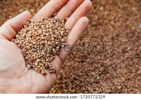 Roasted buckwheat seeds. Gluten free ancient grain for healthy diet, health lifestyle. Young white palm man hands. Close-up, top view
