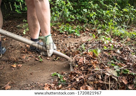 Man shovelling garden waste leaves with a shovel