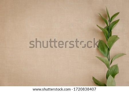 Branch with leaves on a background of beige linen fabric, top view, closeup, flat lay. Background with copy space for natural and minimal products. Soft and calm minimalistic concept