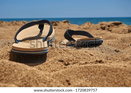 beach shoes on the beach