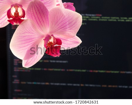 orchid and smart work at home, html language